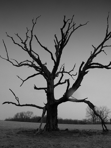 Top Posts of 2014 #9: “10 Things You Lose when your Church Grows”